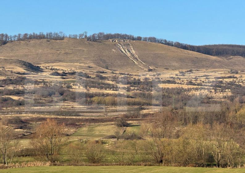 5 terenuri extravilane agricole cu suprafata totala de 13.37 - 5