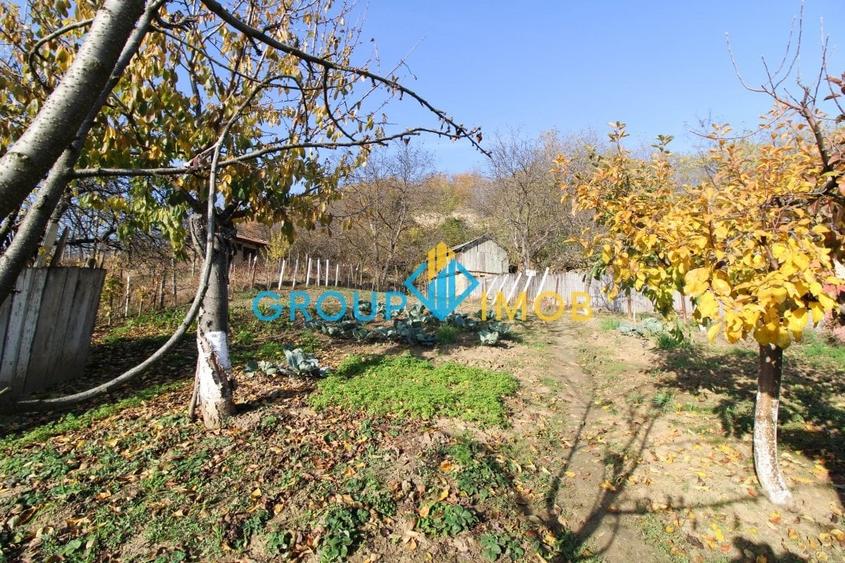 Vila de vanzare Pancesti - Sascut - 23