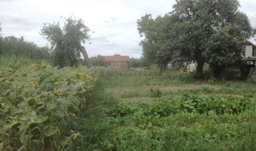 RECO Casa in Ghiorac , com. Ciumeghiu la 16km de Salonta - 1