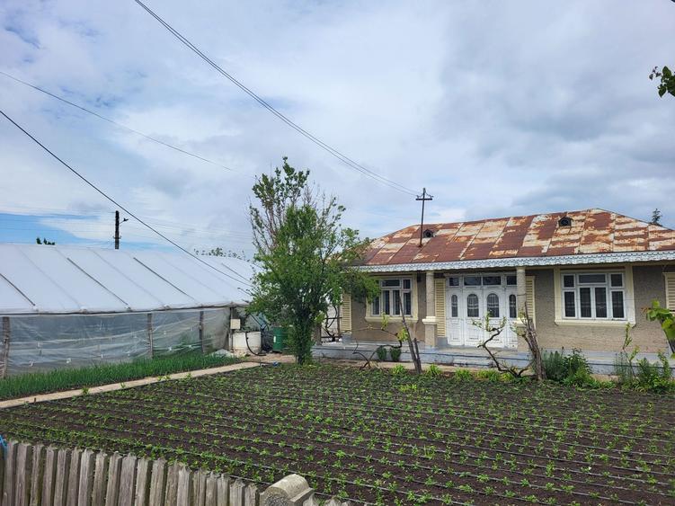 Casa cu teren de vanzare Matca - 2