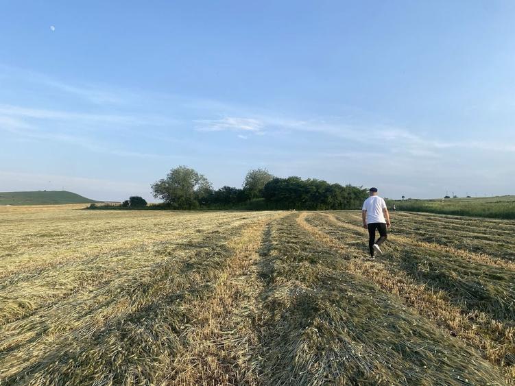 Vand teren cu cf intre Cojocna si Iuriu de Campie - 1