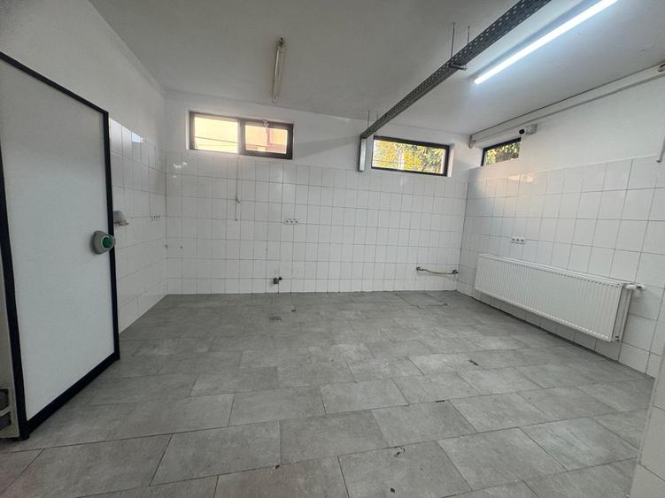 Spatiu cu alta destinatie Lipovei !!! - 8