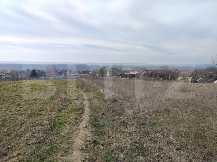 Teren intravilan, Malu Mare, 1469 mp, Aleea I Nucilor - 6