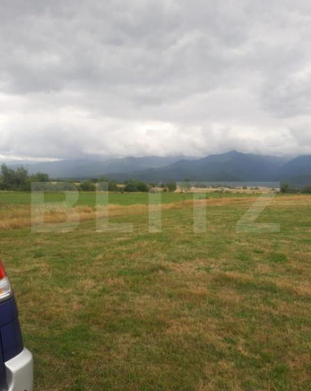 Teren extravilan 8600 mp, Car?i?oara- Coasta lui Nache - 4