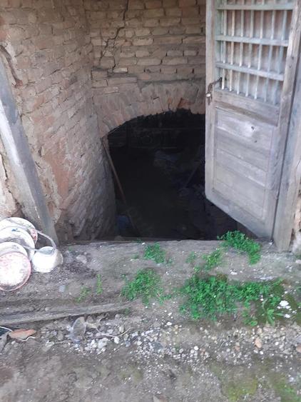vand proprietate in mediu rural la 5 km de Dunare - 2