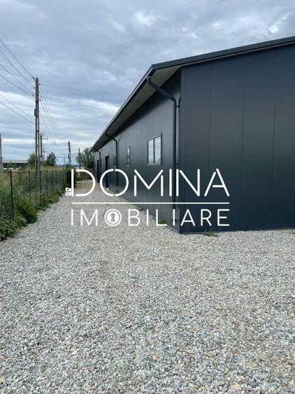 Inchiriere hala industriala NOUĂ situata  in Balesti, la 5 km de Tg. Jiu - 3