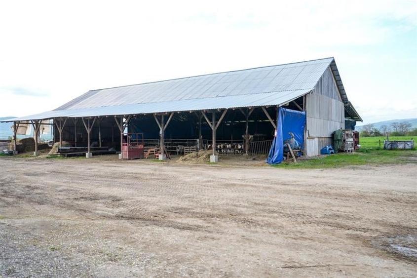 Film&Tur! Domeniu pe 222.000mp+ Ferma +Anexe specifice+Constructie+
rezidential - 57