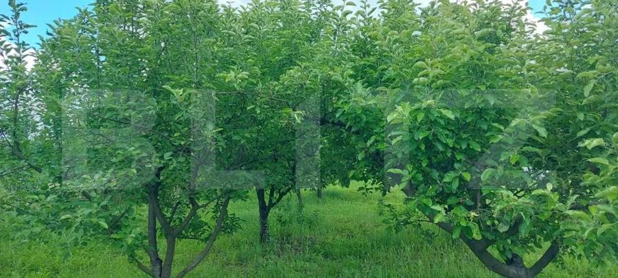 Casa de vanzare, la 11 km de Targu Jiu - 6