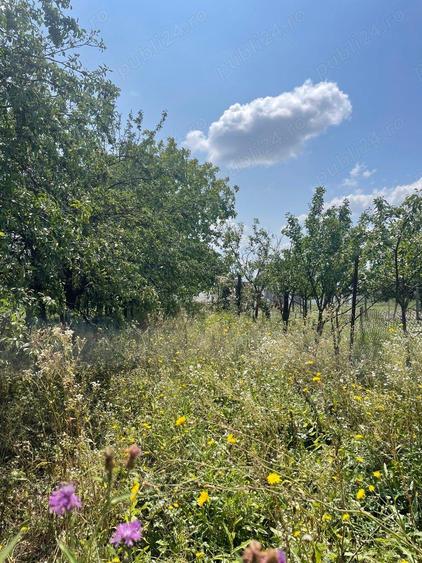 Sat SASAR, casa vaiog + caramida 4 camere,hol,bucatarie ,camara,baie, anexe, teren10 arii,79000 euro - 7