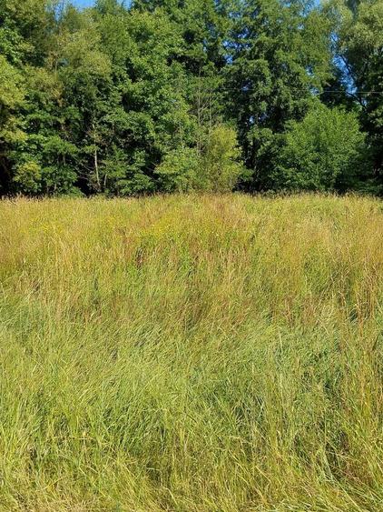 TEREN INTRAVILAN ÎN MARGA-LA DN68 JUD.CARAȘ-SEVERIN - 8