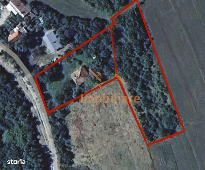 TEREN INTRAVILAN | DERNA -TRIA | 2.978 MP - 1