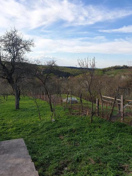 Casa cu sura 1850mp Marginimea Sibiului Rod jud Sibiu - 9