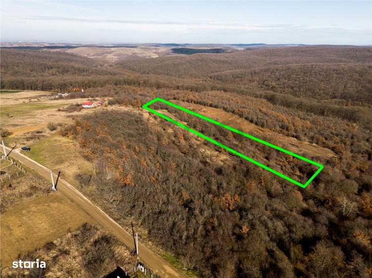 Reco Teren ideal pentru investitii- Saldabagiu de Munte - 4