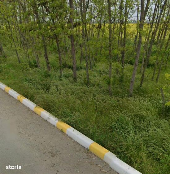 Teren 500 mp - Valu lui Traian | Zona Rezidentiala Noua | Investitie - 1