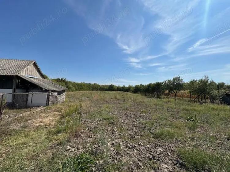 Casa cu teren de 6060 mp | LOC. BICACI | BIHOR - 3