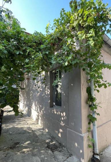 Casa + Anexa | Traian | Pache | Popa Nan | 400 mp- 262 curte - 7