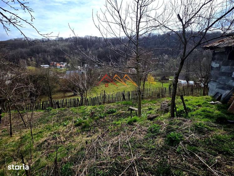 Casa batraneasca stil romanesc + 875 mp teren | Telega - 3