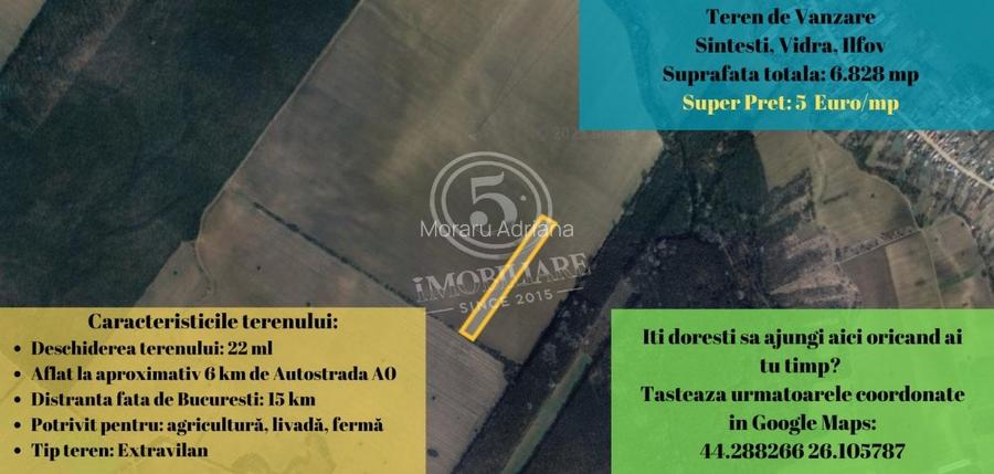 Teren de Vanzare – 6.828 mp, Șintesti, Vidra