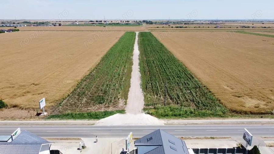 Teren Intravilan In Rate Berceni | utilitati: curent si gaz | #MG10 - 6