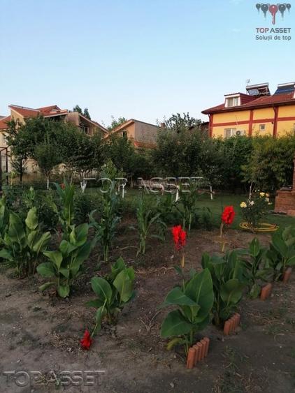 Ansamblu de proprietati in Costinesti - 26