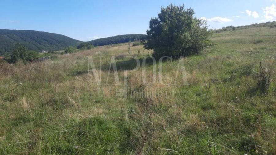 Teren intravilan pentru constructii de vanzare in Salicea - 2