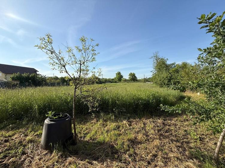 Teren de 3360 mp în exclusivitate, Sânmihaiu Român, vedere la Bega - 1