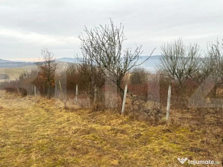 Teren extravilan de vanzare, Valea Budavului - 10