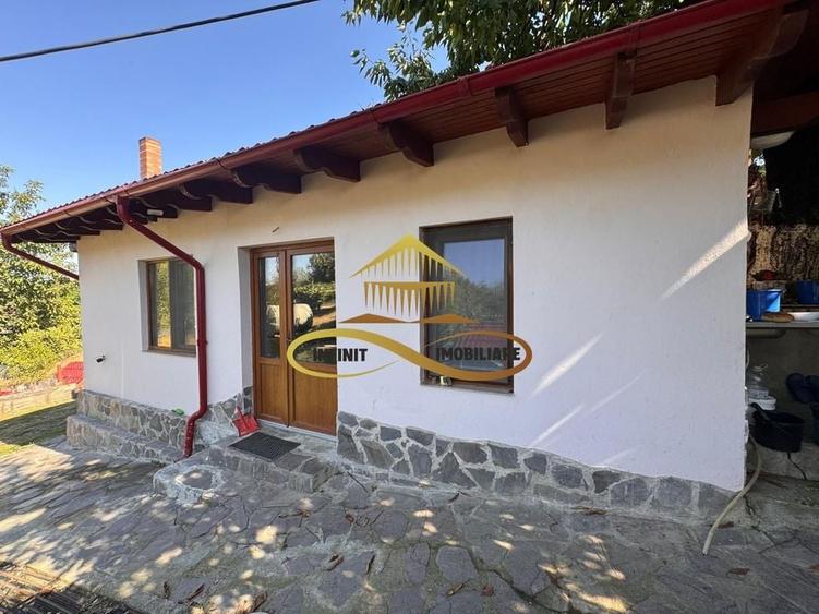 Casa si terasa de vanzare in Magura Bacau - 2