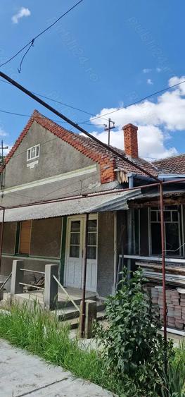 Casa si teren ideal pentru legumicultura - 1