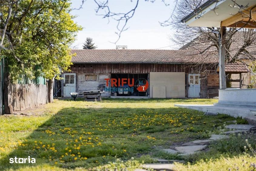 Teren de 11771 mp, în Vințu de Jos