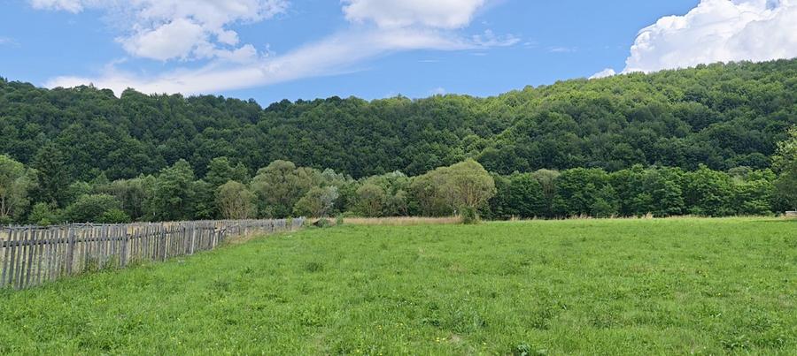 Teren agricol extravilan de 4950 mp, în Vama Buzăului