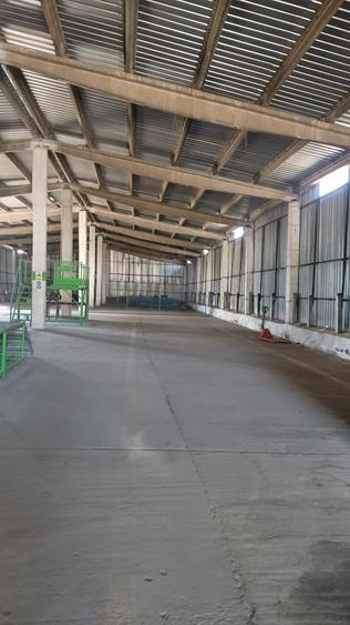 Spațiu industrial, de 2,426 mp, în Ghimpați