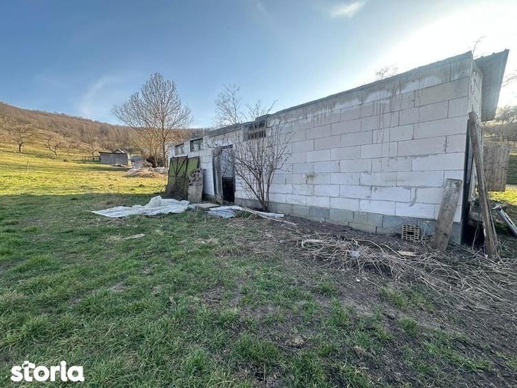 Teren de 2000 mp, în Mociu