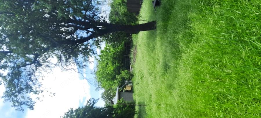 Casă cu Teren 890 Mp în Central