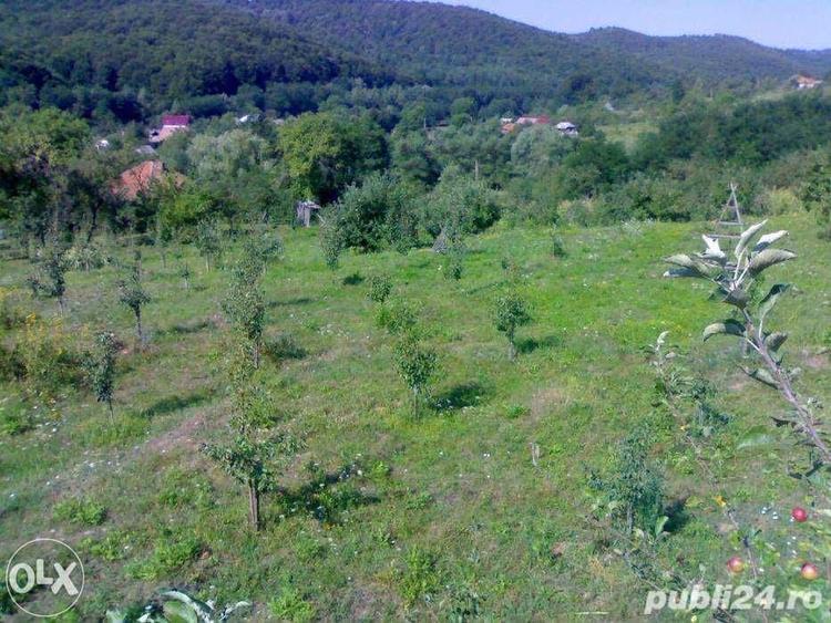 Teren de 4000 mp, în Tutana