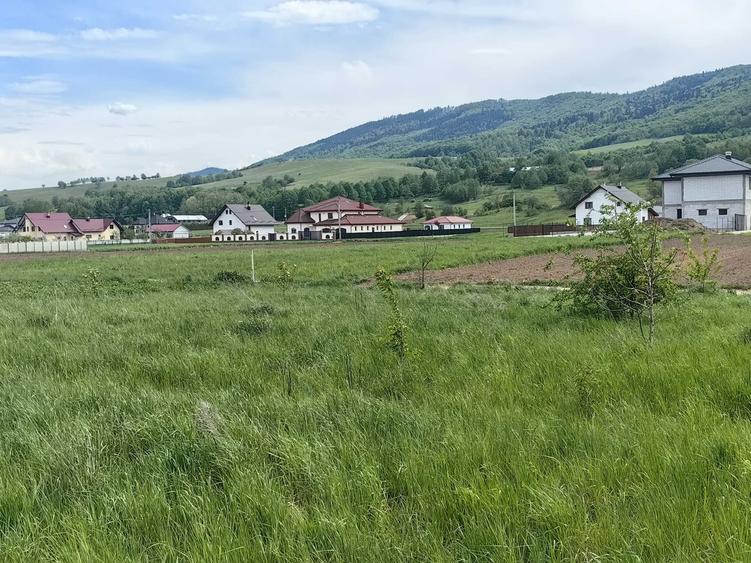Spațiu comercial, în Vicovu de Sus