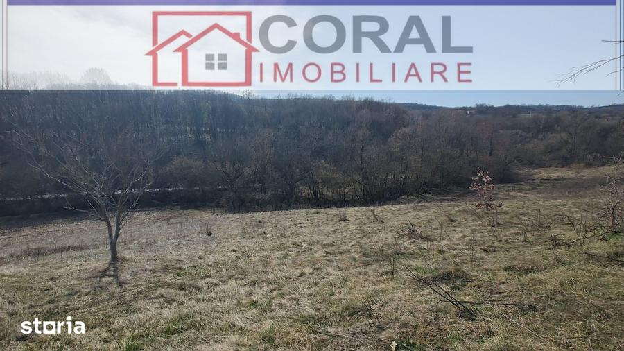 Teren de 5000 mp, în Șoimuș