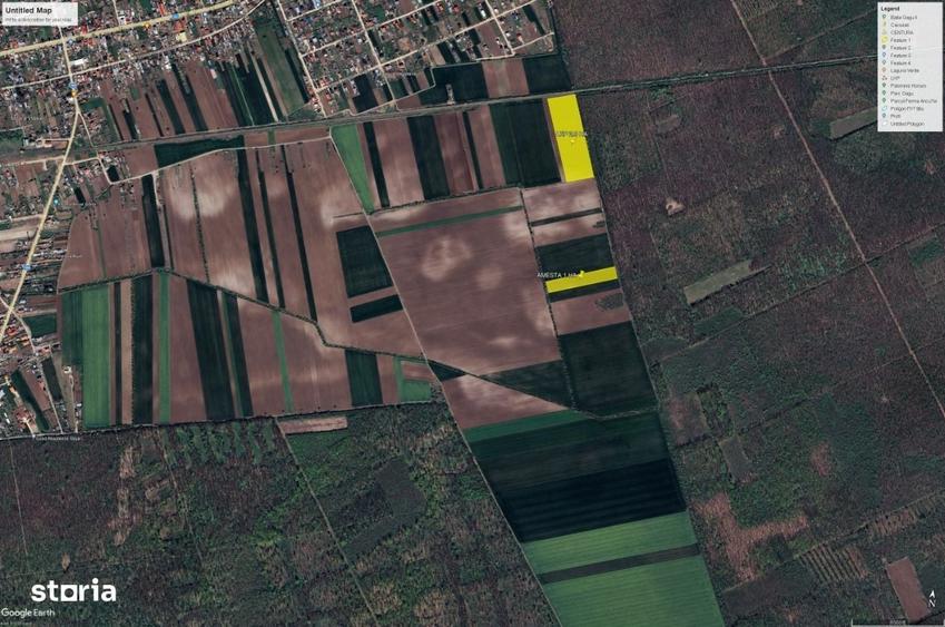 Vanzare teren 10.000 mp langa padure Moara Vlasiei - 4