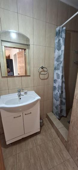 casa saseasca singur curte Cristian central - 5