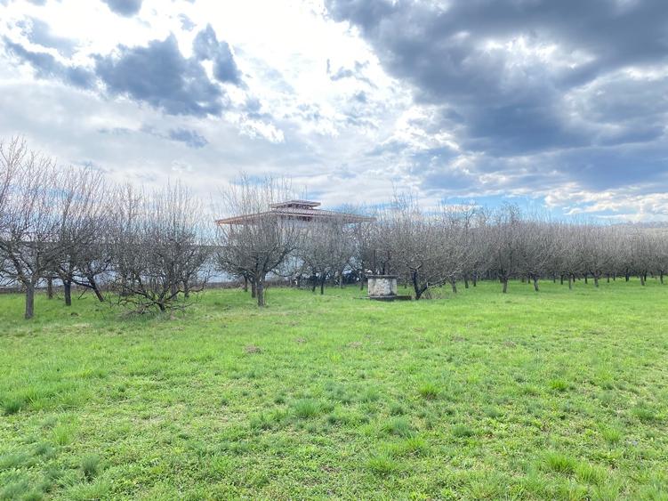 Teren intravilan 7000 mp - 10