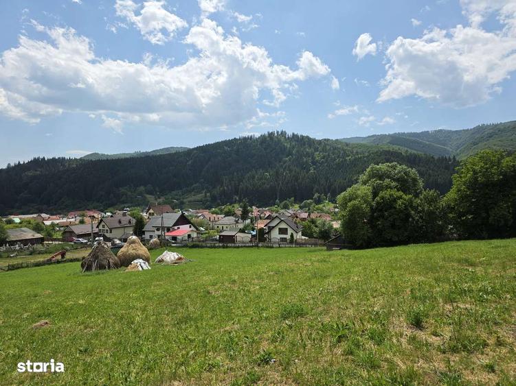 Teren intravilan parcelabil 1000 mp - Rucar, Arges - 4