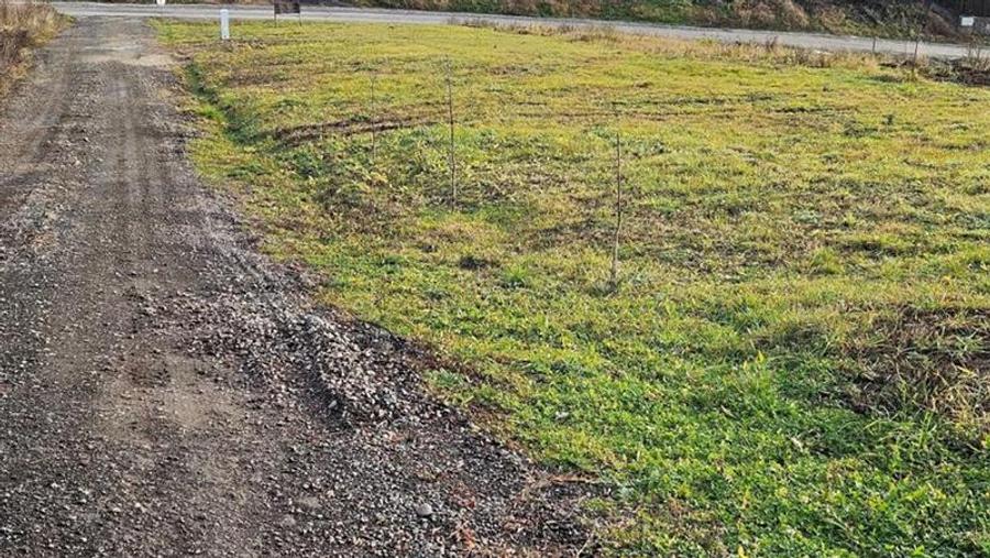 Vanzare 9 ari teren intravilan Tg. Mures Str. Zeno Vancea. - 2