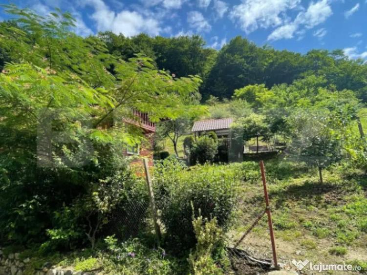 Casa de vacanta cu 4 camere, 1470 mp teren, Sugag - 4