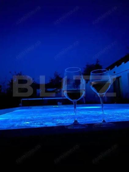 Casa Moderna cu Piscina, Foi?or ?i Teren Generos-Teaca - 5