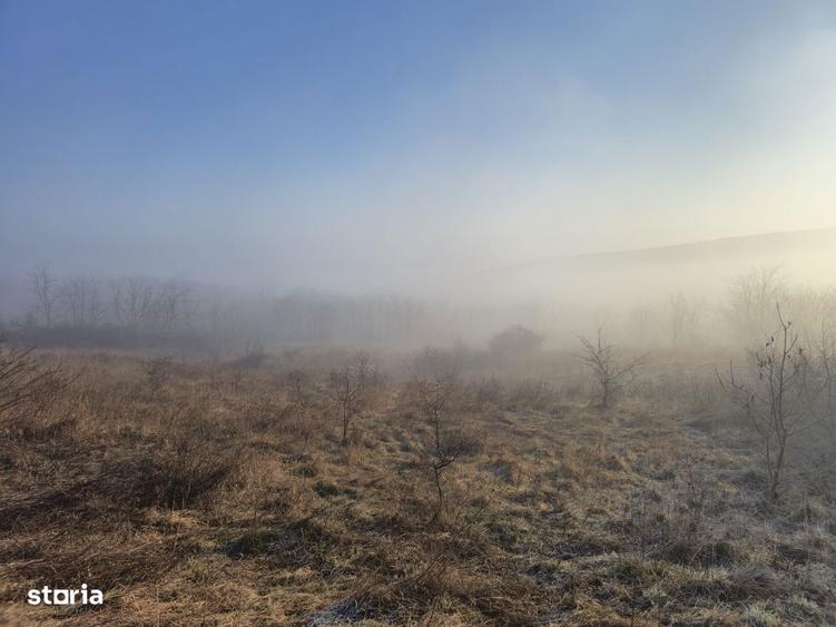 Loturi de teren de vanzare in Bratuleni Miroslava|15 /mp|Rate-2 ani - 4