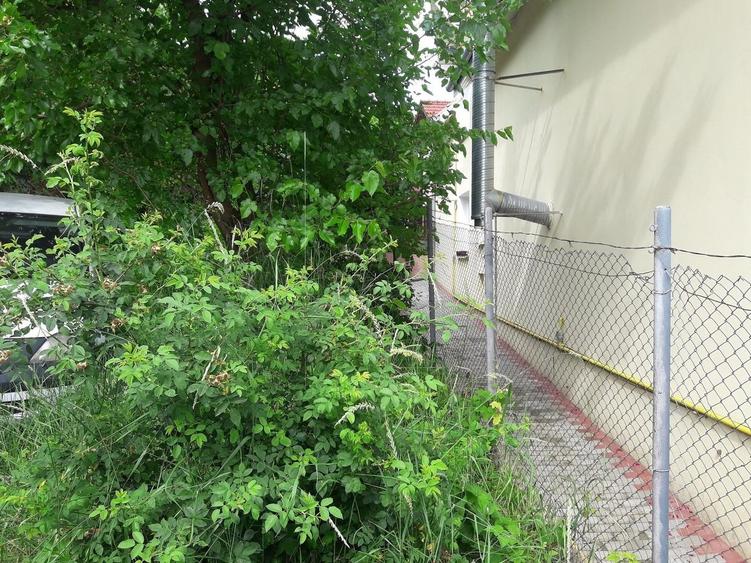 Casă cu 737 mp teren  în  Dambul Rotund - 5