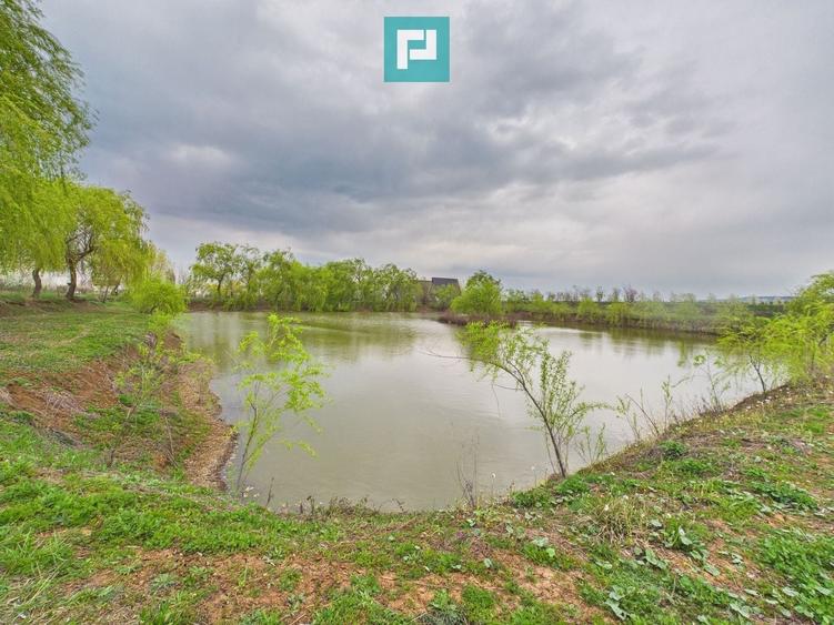 Teren 1 ha cu baltă populată – Alioș (Mașloc) - 3