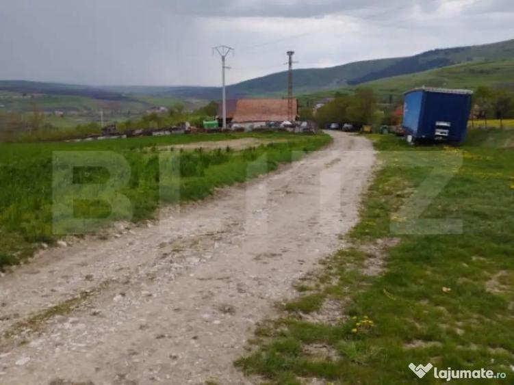 Teren extravilan 3621 mp, in Petrestii de Mijloc - 2