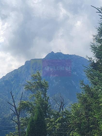 Vila de vacanta de vanzare in Busteni - Zona Zamora - 2