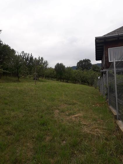 Teren intravilan Varatec, Neamt - 2